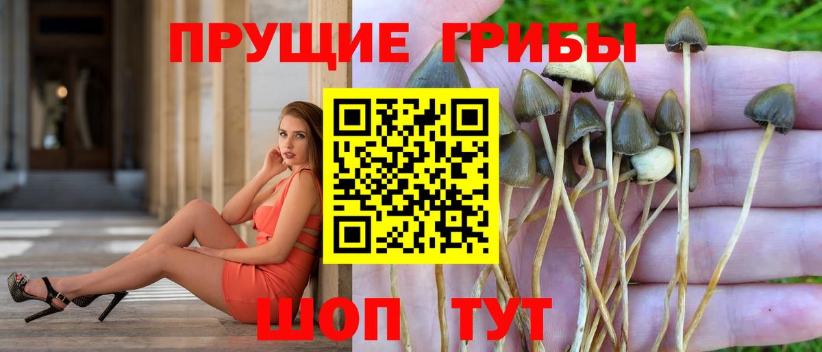 Псилоцибиновые грибы MAGIC MUSHROOMS Ленинск-Кузнецкий