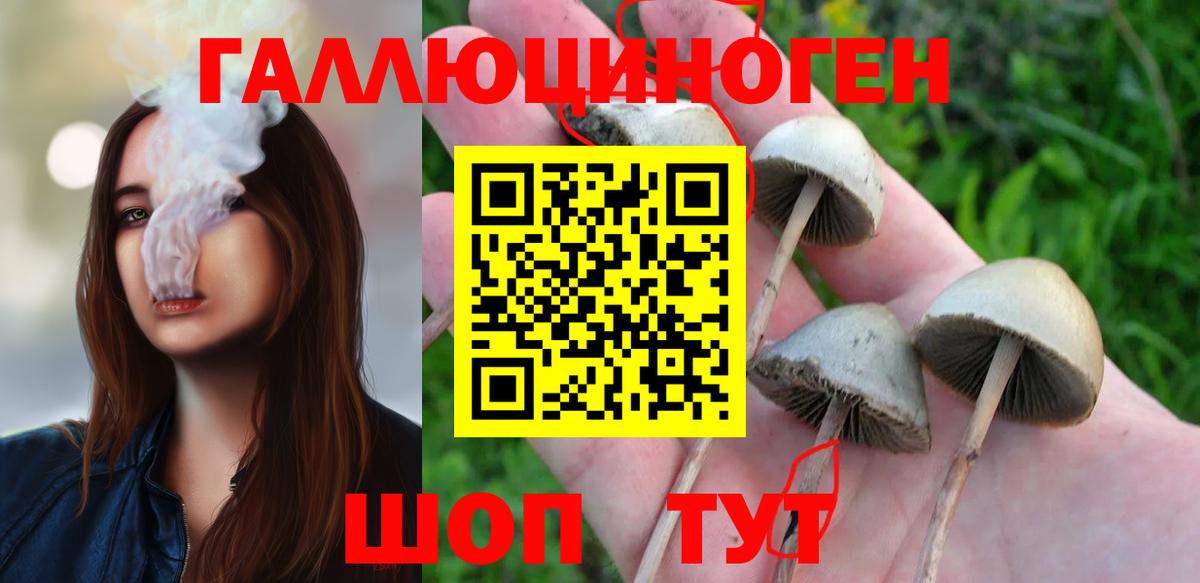 Галлюциногенные грибы мицелий  Вход с VPN  Ленинск-Кузнецкий 